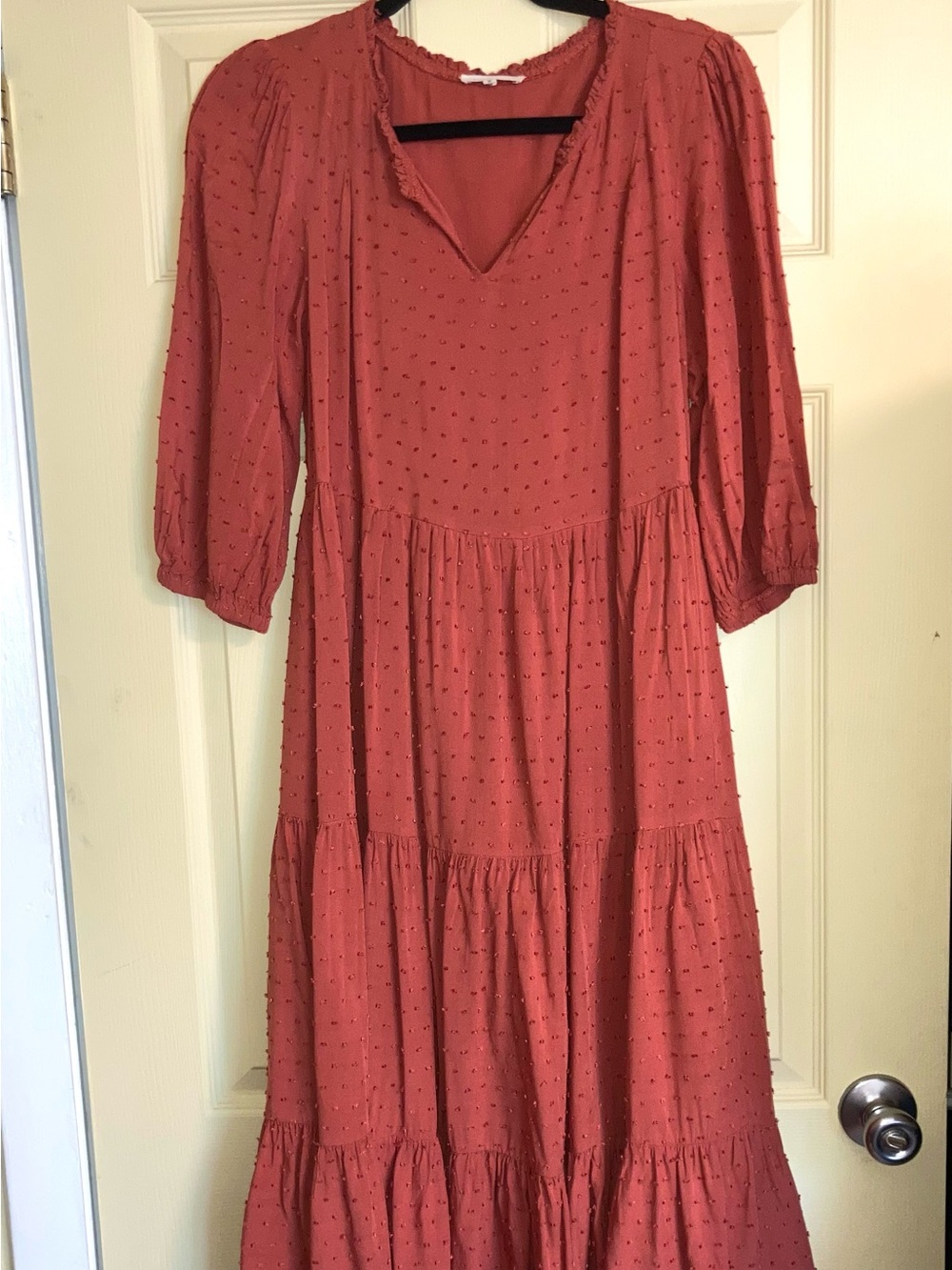 tea n rose Rust-Red Swiss Dot Tiered Maxi Dress